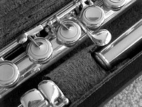 Delicate unqiue french key work